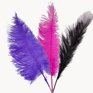echtes Straußenfedern Set gefärbt in 3 Farben ca.55-65CM  schwarz, lila dunkel, magenta